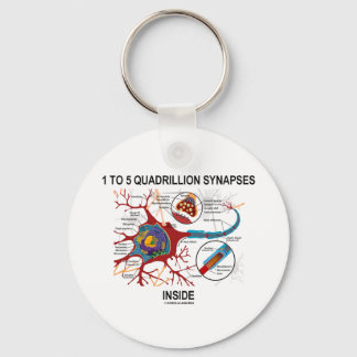1 bis 5 Quadrillionen Synapsen Innen (Neuron) Schlüsselanhänger