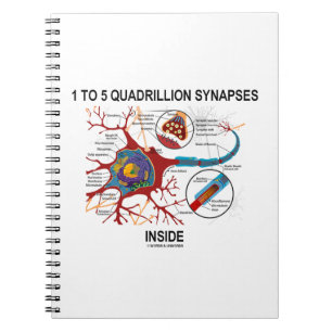 1 bis 5 Quadrillionen Synapsen Inside Neuron Synap Notizblock