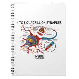 1 bis 5 Quadrillionen Synapsen Inside Neuron Synap Notizblock