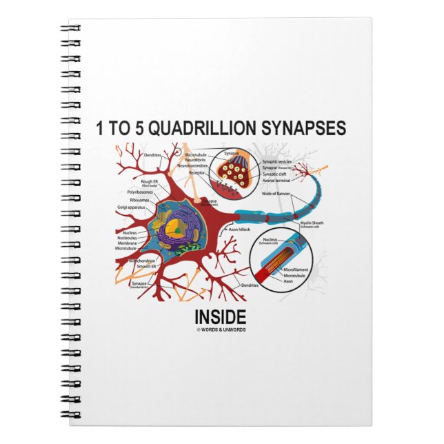 1 bis 5 Quadrillionen Synapsen Inside Neuron Synap Notizblock (Vorderseite)