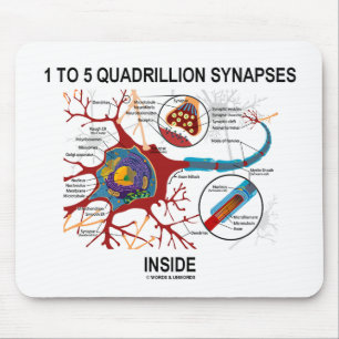 1 bis 5 Quadrillions-Synapse-Innere (Neuron) Mousepad