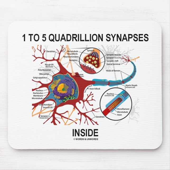 1 bis 5 Quadrillions-Synapse-Innere (Neuron) Mousepad (Vorne)