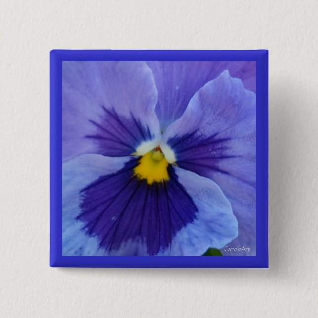 1 blauer SchönheitPansy Button (Vorderseite)
