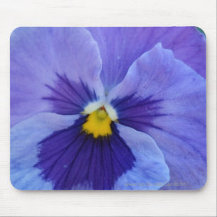 1 blauer SchönheitPansy Mousepad