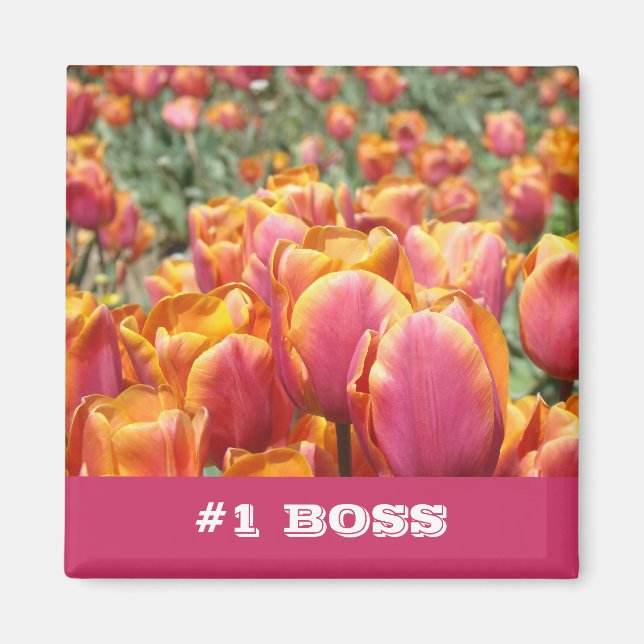 #1 BOSS-Magnete verleiht Pink Orange Tulip-Blume Magnet (Vorne)