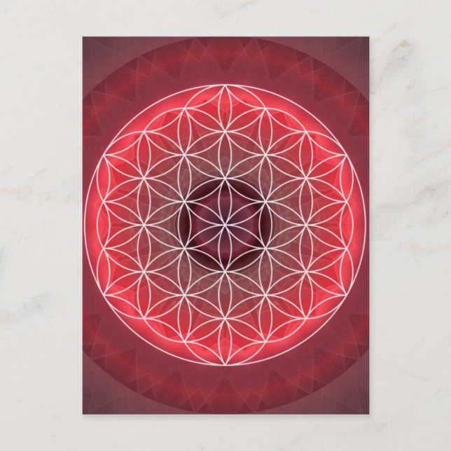 1 Chakra Blume des Lebens rot Postkarte (Vorderseite)