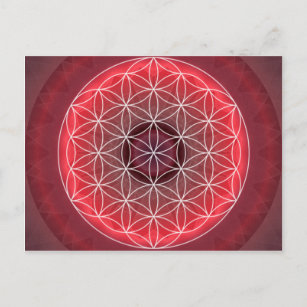 1 Chakra Blume des Lebens rot Postkarte