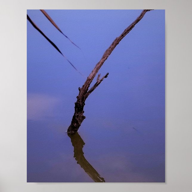 #1-Etang von Scamander in Camargue. Poster (Vorne)