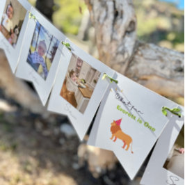 1. Geburtstag 12 Monat Foto Banner