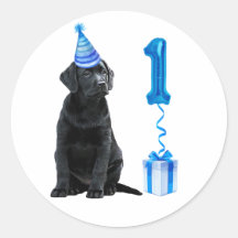 1. Geburtstag Welpenthema - Niedlicher Hund Blue P