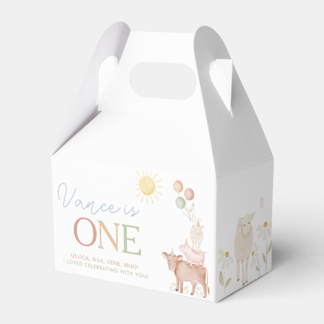 1. Geburtstagsfarm Animals Barnyard Party Boys Geschenkschachtel (Vorderseite)