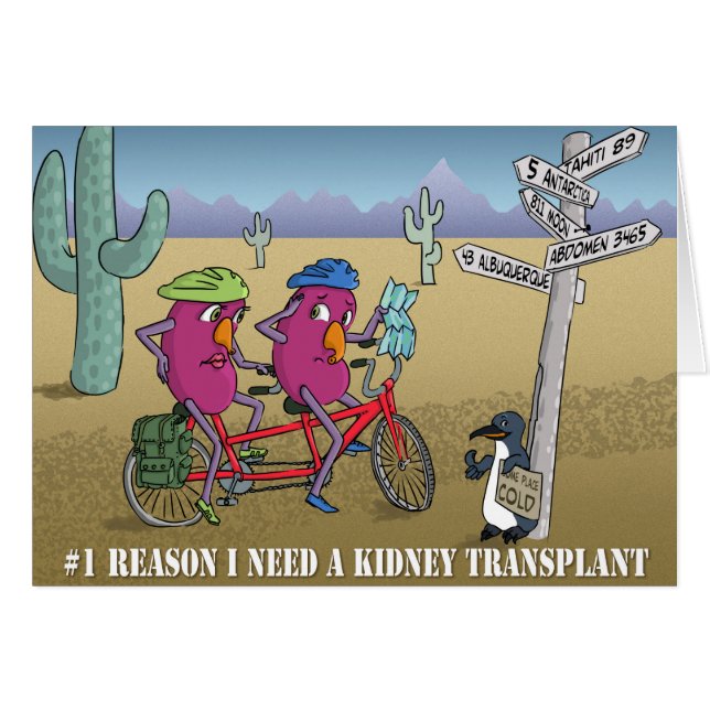 # 1 Grund benötige ich eine Nierentransplantation (Vorderseite (Horizontal))