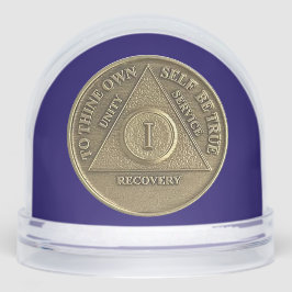 1 Jahr Feierliche Feier der OM Erholung Münze Schneekugeln