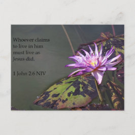 1 John 2:6 Lila Pond Lily Scripting Post Card Postkarte
