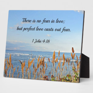 1 John 4:18 There is no fear in love; verbessertes Fotoplatte
