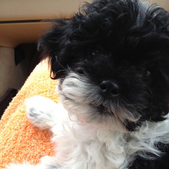 1. KOMME HEIRAT - DANN KOMMT DER HONEYMOON! KARTE (Von Creator hochgeladen)