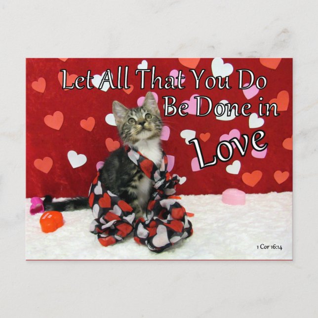 1 Korinther 16:14 Bibelverse Postkarte (Vorderseite)