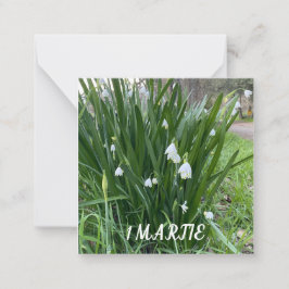 1 Martie-Flachscheine Mitteilungskarte