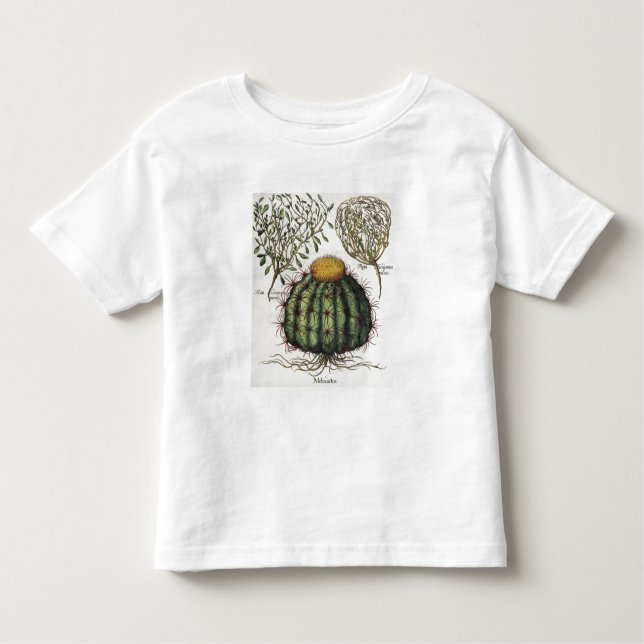 1.Melocactus; 2.Rosa Hiericontea aperta; 3.Rosa Kleinkind T-shirt (Vorderseite)
