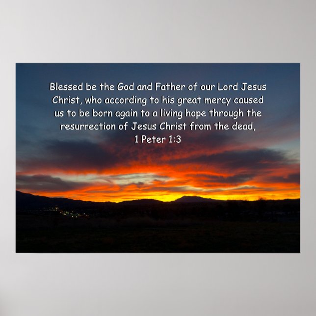 1 Peter 1:3 Poster (Vorne)