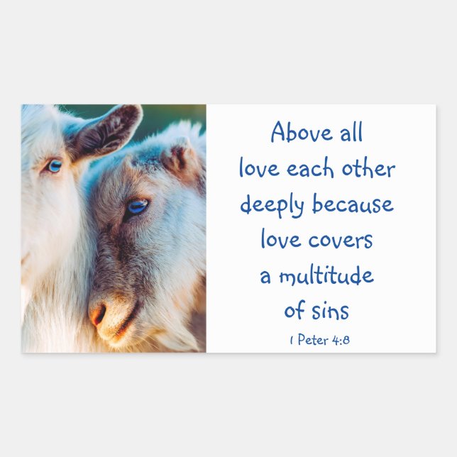 1 Peter 4|:8 über allen Lieben tief inspirierend Rechteckiger Aufkleber (Vorderseite)