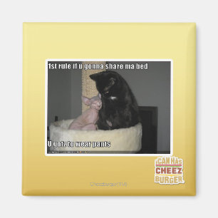 1 Regel, wenn du ein Bett teilen willst Magnet