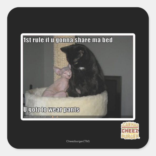 1 Regel, wenn du ein Bett teilen willst Quadratischer Aufkleber (Vorderseite)