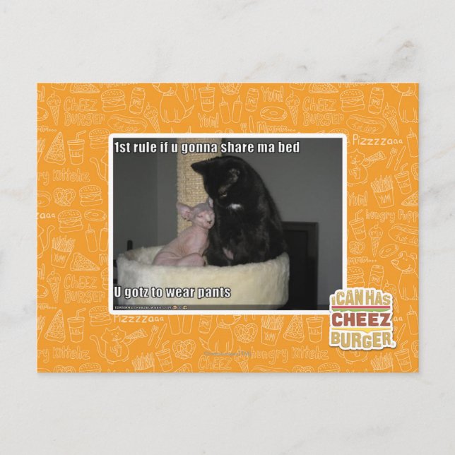 1. Regel wenn u, das geht, MA-Bett zu teilen Postkarte (Vorderseite)