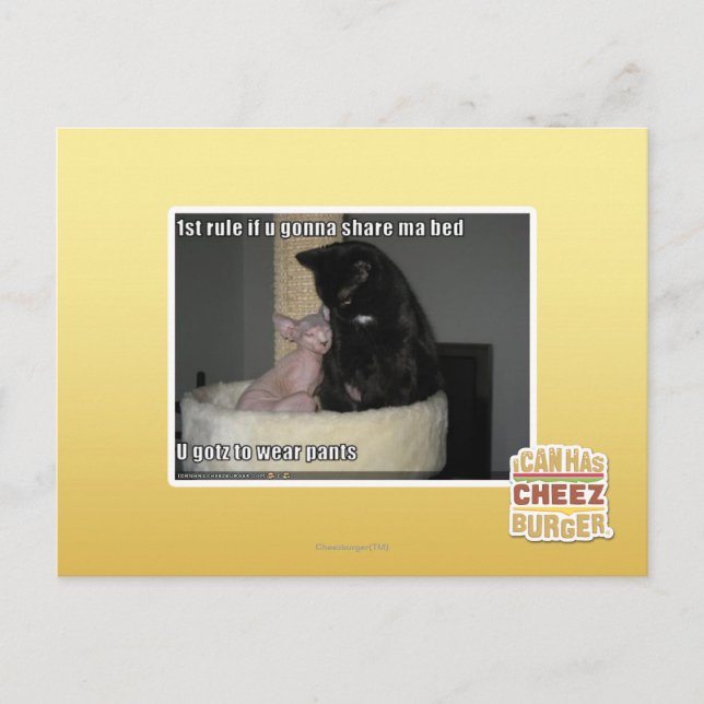 1. Regel wenn u, das geht, MA-Bett zu teilen Postkarte (Vorderseite)