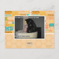 1. Regel wenn u, das geht, MA-Bett zu teilen