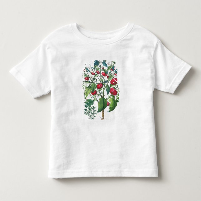 1.Solanum Pomiferum; 2.Amaracus gemein, von Kleinkind T-shirt (Vorderseite)