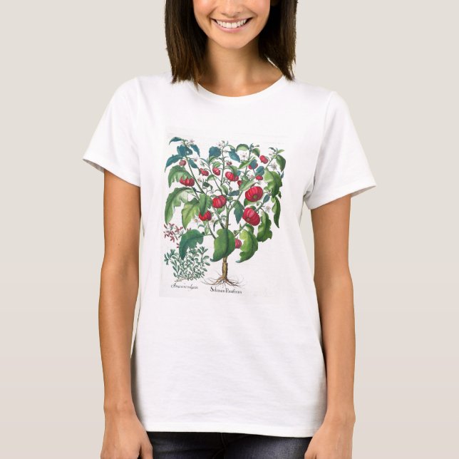 1.Solanum Pomiferum; 2.Amaracus vulgaris aus dem T-Shirt (Vorderseite)