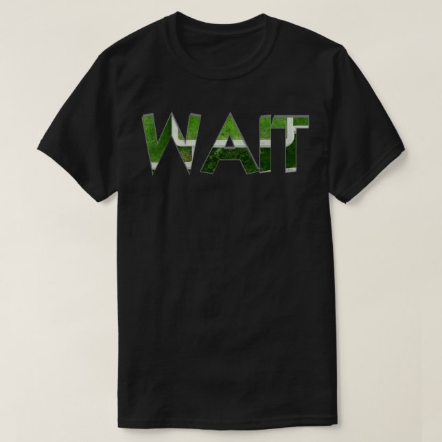 1 T-Shirt (Design vorne)