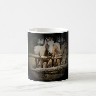 1 TASSE