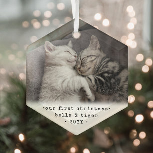 1. Weihnachten 2 Katzen oder Haustiere Einfach Fot Ornament Aus Glas