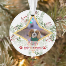 1. Weihnachten Haustiere Gold und Rote Ornamente