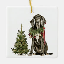 1. Weihnachten im Furever-Zuhause, Dogge, grüner T