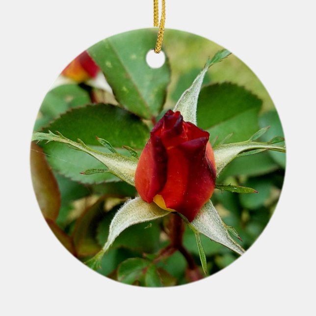 1. Weihnachtsgeburt Rote Rose Keramik Ornament (Vorne)