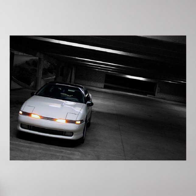 1g DSM-Poster Poster (Vorne)