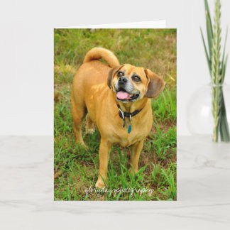 1HCD_3930, glorydaysphotography Karte