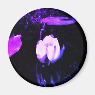 1LILA LOTUS MAGNET