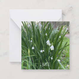 1Martie-Note-Karte Mitteilungskarte