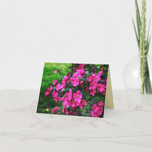 1RED BLOSSOMS GREETING CARD KARTE