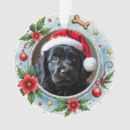 1st Christmas 2-sided Pawfect Beginnings Ornament