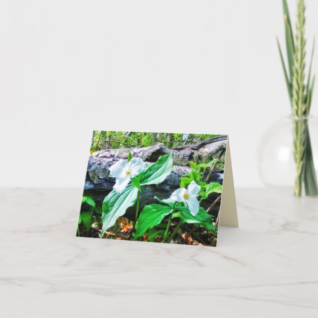 1TRILLIUMS-GREETKARTE KARTE (Vorderseite)