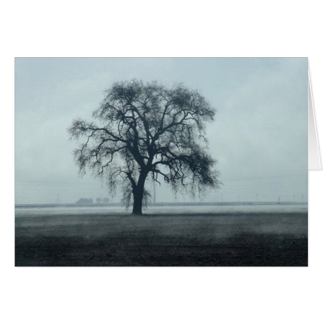 2004February 260 (Vorderseite (Horizontal))