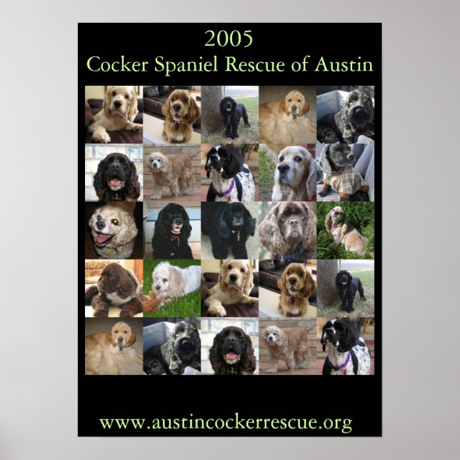 2005 Cocker Spaniel Rescue Poster (Vorne)