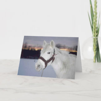 2005 OMRH Weihnachtskarte Foto Ehrliche Erwähnung Feiertagskarte