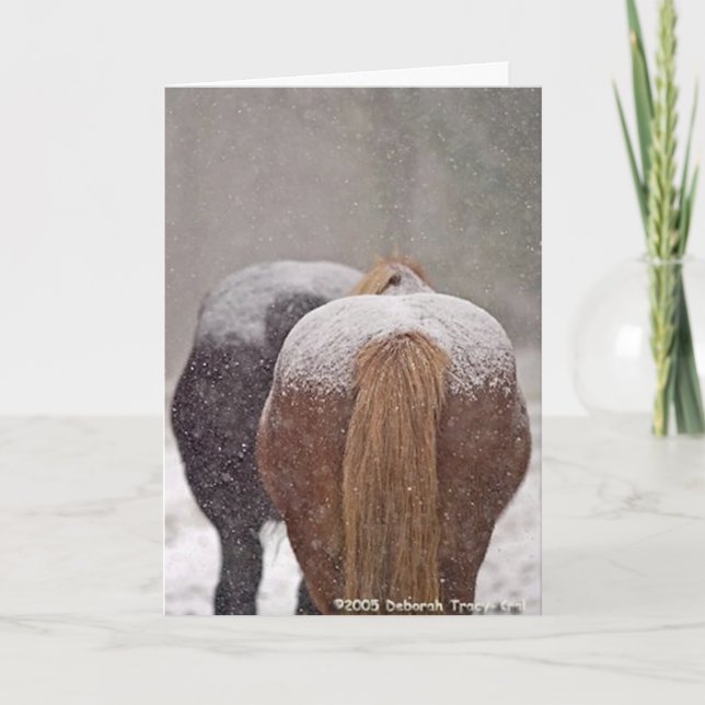 2005 Platz-Sieger des OMRH Feiertagskarte (Vorderseite)