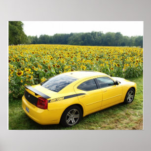 2006 Dodge-Ladegerät R/T Top Banana Poster